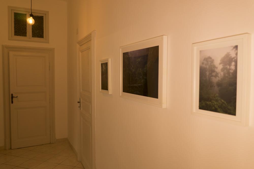 רומא Trastevere Corner Eight מראה חיצוני תמונה